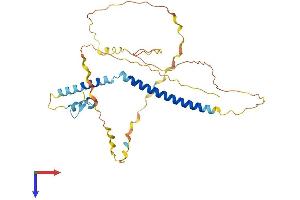 AlphaFold protein structure predicition of Mouse Recombinant Sfr1 Protein, UniprotID Q8BP27