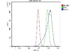 Flow Cytometry analysis of A549 cells using anti-SGCE antibody (ABIN7601544). (SGCE anticorps  (AA 38-407))