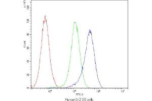 Flow cytometry testing of human U-2 OS cells with AQP1 antibody at 1ug/10^6 cells (blocked with goat sera) (Aquaporin 1 anticorps  (C-Term))