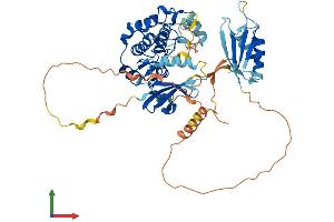 AlphaFold protein structure predicition of Human Recombinant STK39 Protein, UniprotID Q9UEW8
