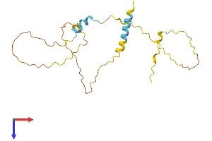 AlphaFold protein structure predicition of Mouse Recombinant Map6d1 Protein, UniprotID Q14BB9