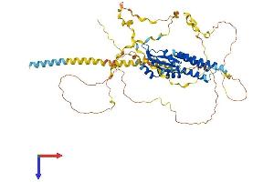 AlphaFold protein structure predicition of Mouse Recombinant Cpsf6 Protein, UniprotID Q6NVF9
