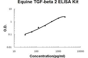 Horse equine TGF-beta 2 PicoKine ELISA Kit standard curve