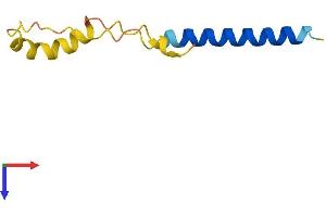 AlphaFold protein structure predicition of Human Recombinant C14orf132 Protein, UniprotID Q9NPU4