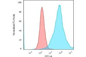 Flow Cytometric Analysis of PFA-fixed K562 cells using CD43 Rabbit Recombinant Monoclonal Antibody (SPN/1766R) followed by Goat anti-Rabbit- IgG-CF488 (Blue); Isotype Control (Red)