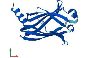AlphaFold protein structure predicition of Human Recombinant PDE6D Protein, UniprotID O43924