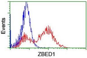 Image no. 4 for anti-Zinc Finger, BED-Type Containing 1 (ZBED1) antibody (ABIN1501793) (ZBED1 anticorps)