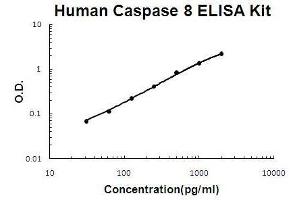 Human Caspase 8 PicoKine ELISA Kit standard curve (Caspase 8 Kit ELISA)
