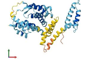 AlphaFold protein structure predicition of Mouse Recombinant Dnajc22 Protein, UniprotID Q8CHS2