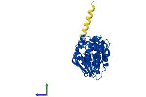 AlphaFold protein structure predicition of Mouse Recombinant Dimt1 Protein, UniprotID Q9D0D4