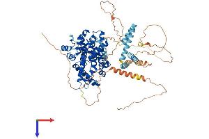 AlphaFold protein structure predicition of Human Recombinant PDE4C Protein, UniprotID Q08493