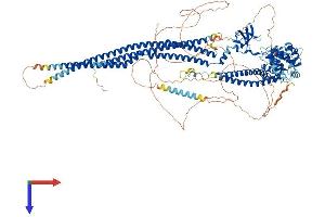 AlphaFold protein structure predicition of Human Recombinant SRGAP3 Protein, UniprotID O43295