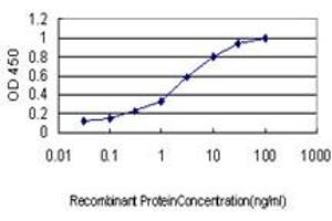 Detection limit for recombinant GST tagged RIN1 is approximately 0. (RIN1 anticorps  (AA 646-755))
