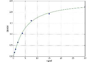Fibrinogen beta Chain (FGB) ELISA Kit