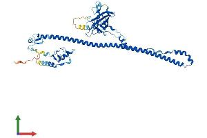 AlphaFold protein structure predicition of Mouse Recombinant Trim35 Protein, UniprotID Q8C006
