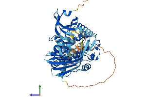 AlphaFold protein structure predicition of Human Recombinant CAMK2A Protein, UniprotID Q9UQM7