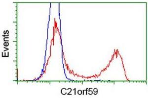 Flow Cytometry (FACS) image for anti-Chromosome 21 Open Reading Frame 59 (C21orf59) antibody (ABIN1497043) (C21orf59 anticorps)