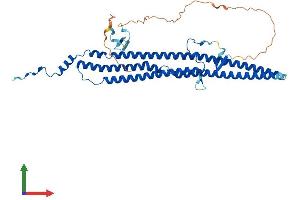 AlphaFold protein structure predicition of Mouse Recombinant Gas7 Protein, UniprotID Q60780
