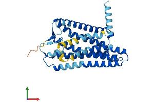 AlphaFold protein structure predicition of Human Recombinant OR2T8 Protein, UniprotID A6NH00