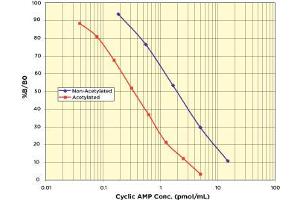 Image no. 2 for Cyclic Adenosine Monophosphate (cAMP) CLIA Kit (ABIN577668) (CAMP Kit CLIA)