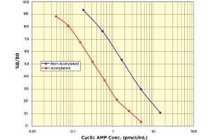 Image no. 2 for Cyclic Adenosine Monophosphate (cAMP) CLIA Kit (ABIN577669) (CAMP Kit CLIA)