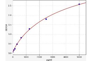 Typical standard curve (FTH1 Kit ELISA)