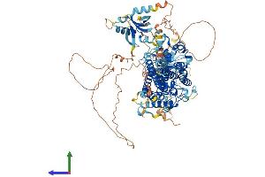 AlphaFold protein structure predicition of Mouse Recombinant Rasip1 Protein, UniprotID Q3U0S6