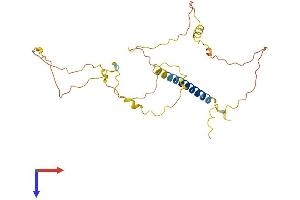 AlphaFold protein structure predicition of Mouse Recombinant Lime1 Protein, UniprotID Q9EQR5