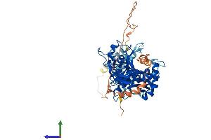 AlphaFold protein structure predicition of Mouse Recombinant Ate1 Protein, UniprotID Q9Z2A5