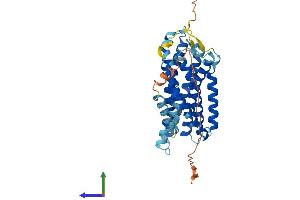 AlphaFold protein structure predicition of Human Recombinant GPR4 Protein, UniprotID P46093