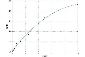 Aminoadipate-Semialdehyde Dehydrogenase (AASDH) ELISA Kit