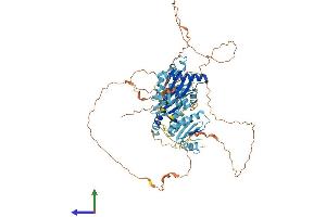 AlphaFold protein structure predicition of Human Recombinant HPS4 Protein, UniprotID Q9NQG7