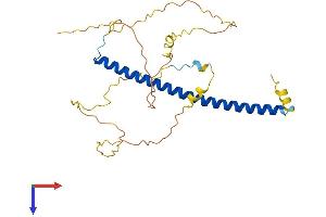AlphaFold protein structure predicition of Mouse Recombinant Cebpe Protein, UniprotID Q6PZD9