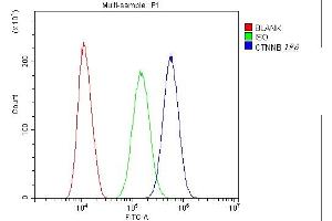 Flow Cytometry analysis of SiHa cells using anti-beta Catenin antibody (ABIN5693091).
