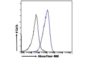 (ABIN185362) Flow cytometric analysis of paraformaldehyde fixed Jurkat cells (blue line), permeabilized with 0.