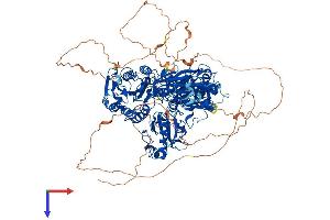AlphaFold protein structure predicition of Human Recombinant SEC24A Protein, UniprotID O95486