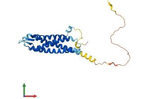 AlphaFold protein structure predicition of Human Recombinant SYNGR3 Protein, UniprotID O43761