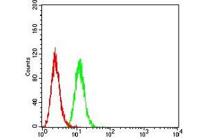 Flow cytometric analysis of Hela cells using BCL2L2 mouse mAb (green) and negative control (red). (BCL2L2 anticorps  (AA 6-118))