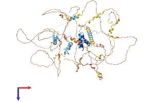 AlphaFold protein structure predicition of Mouse Recombinant Bcl11a Protein, UniprotID Q9QYE3