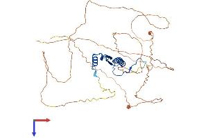 AlphaFold protein structure predicition of Human Recombinant SRF Protein, UniprotID P11831