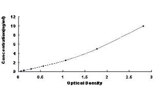 Typical standard curve
