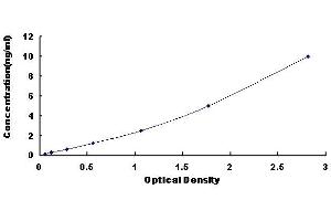 Typical standard curve (PTF1A Kit ELISA)