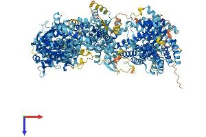 AlphaFold protein structure predicition of Mouse Recombinant Adcy10 Protein, UniprotID Q8C0T9