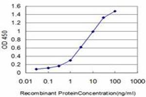 ELISA image for anti-EPH Receptor B3 (EPHB3) (AA 899-998) antibody (ABIN598667) (EPH Receptor B3 anticorps  (AA 899-998))