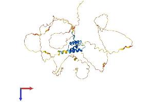 AlphaFold protein structure predicition of Mouse Recombinant Irx5 Protein, UniprotID Q9JKQ4