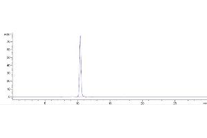 The purity of Anti-AGER / RAGE Reference Antibody (XT-M4) is more than 95 % , determined by SEC-HPLC.