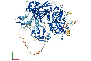 AlphaFold protein structure predicition of Mouse Recombinant Plcd3 Protein, UniprotID Q8K2J0