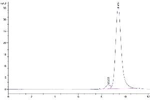 The purity of Biotinylated Cynomolgus CD161 is greater than 95 % as determined by SEC-HPLC. (CD161 Protein (AA 67-227) (His-Avi Tag,Biotin))