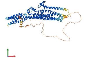 AlphaFold protein structure predicition of Human Recombinant TTYH3 Protein, UniprotID Q9C0H2