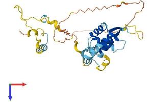 AlphaFold protein structure predicition of Mouse Recombinant Foxr1 Protein, UniprotID Q3UTB7